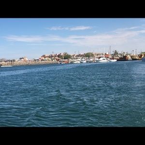 Meet your Posher, Jenny